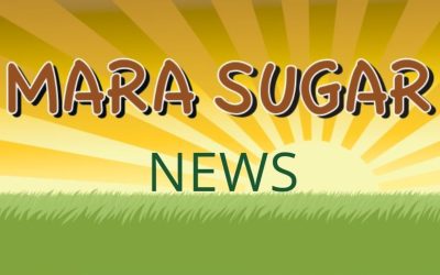Introducing Mara Sugar News: Your Gateway to Transmara’s Vibrant World!